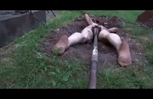 XXX نقاشی شاخه به حال, سکس در پیاده کانال سکسی کم حجم رو.